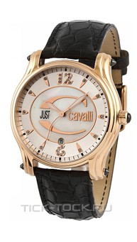  Just Cavalli 7251168545